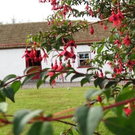 Con's 別荘 キリーベグス