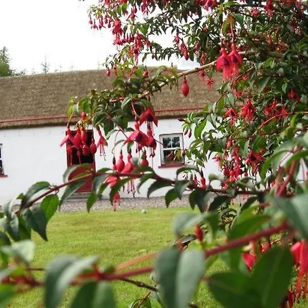 Σπίτι διακοπών Con's