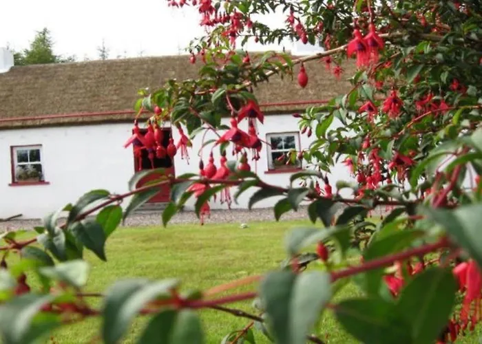 Con's Дом отдыха Киллибегс