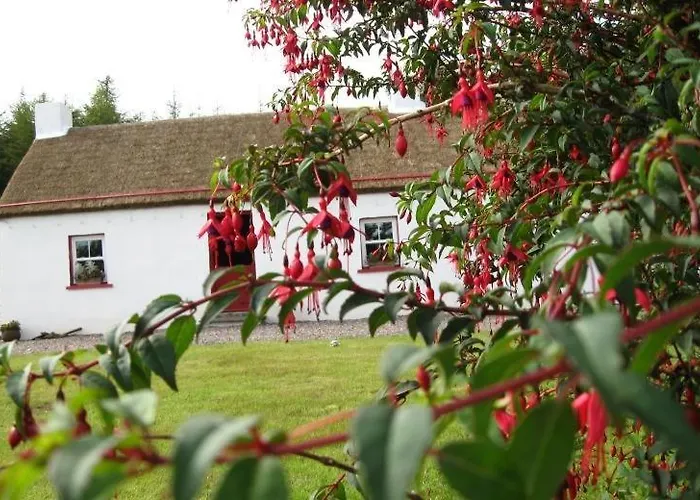 Дом отдыха Con's